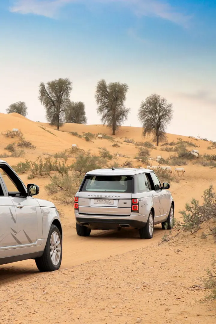 Platinum Desert Safari with Range Rover Pick Up and Drop Off — photo 5 of 8